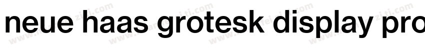 neue haas grotesk display pro 45 Li字体转换